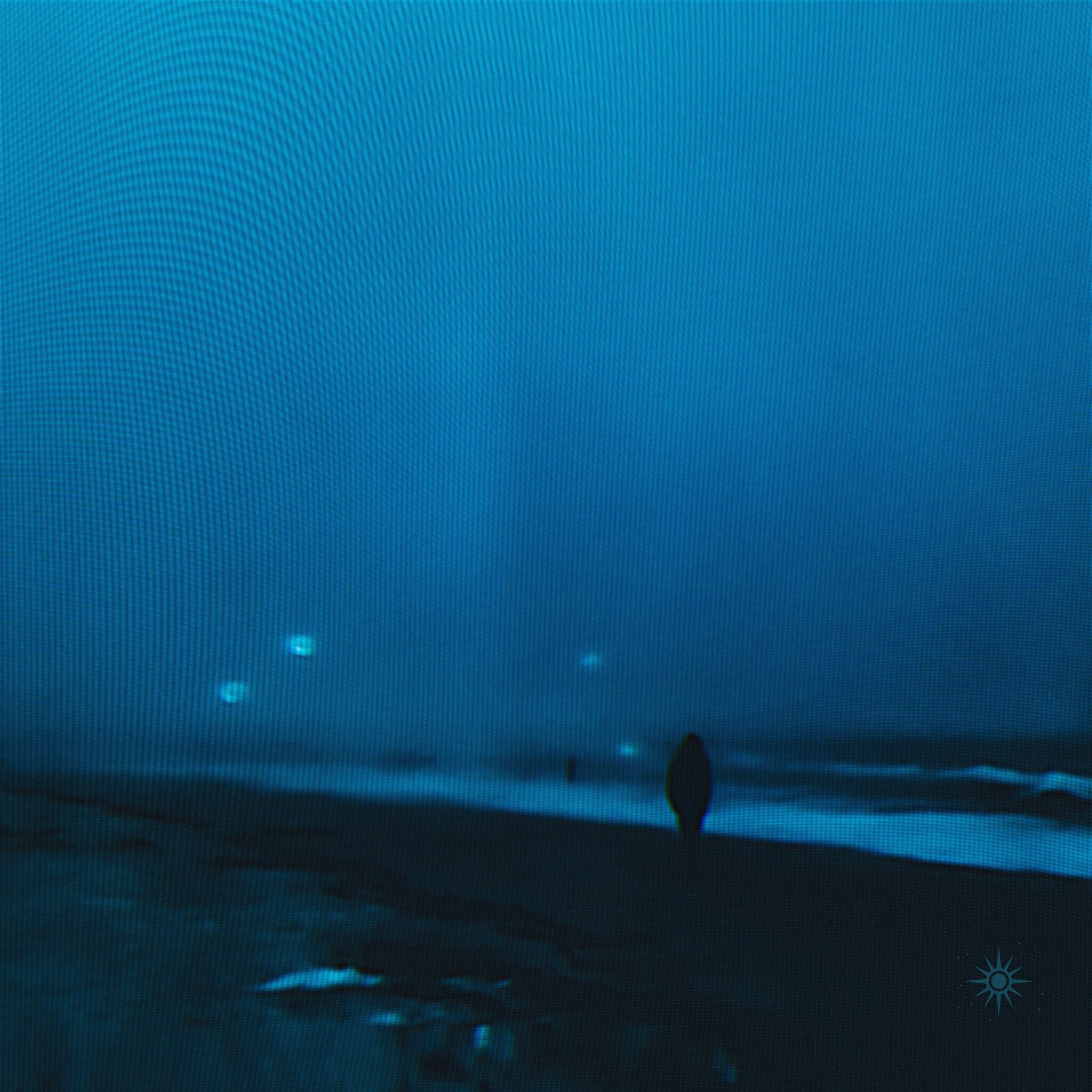 midnight