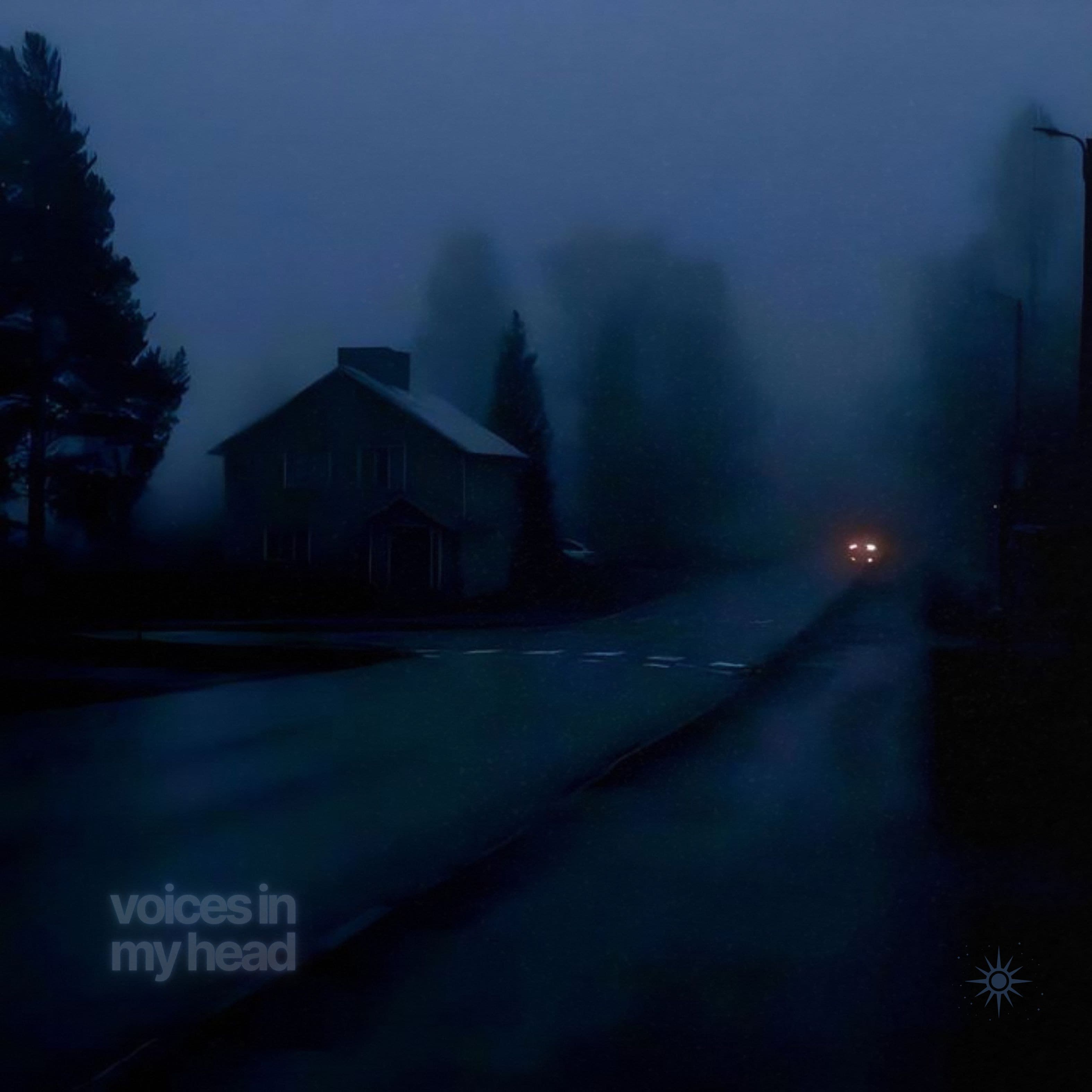 voices in my head