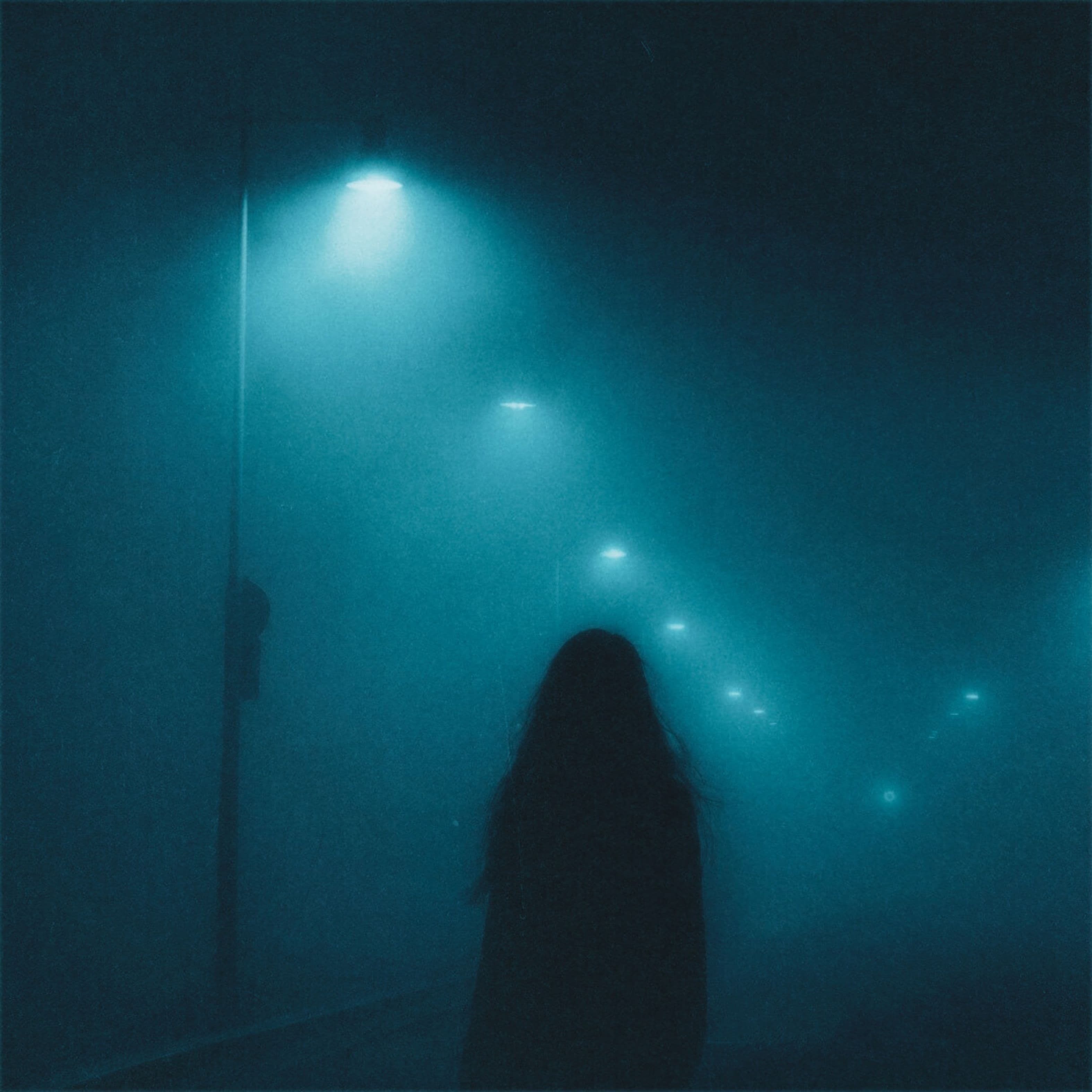 walking in moonlight