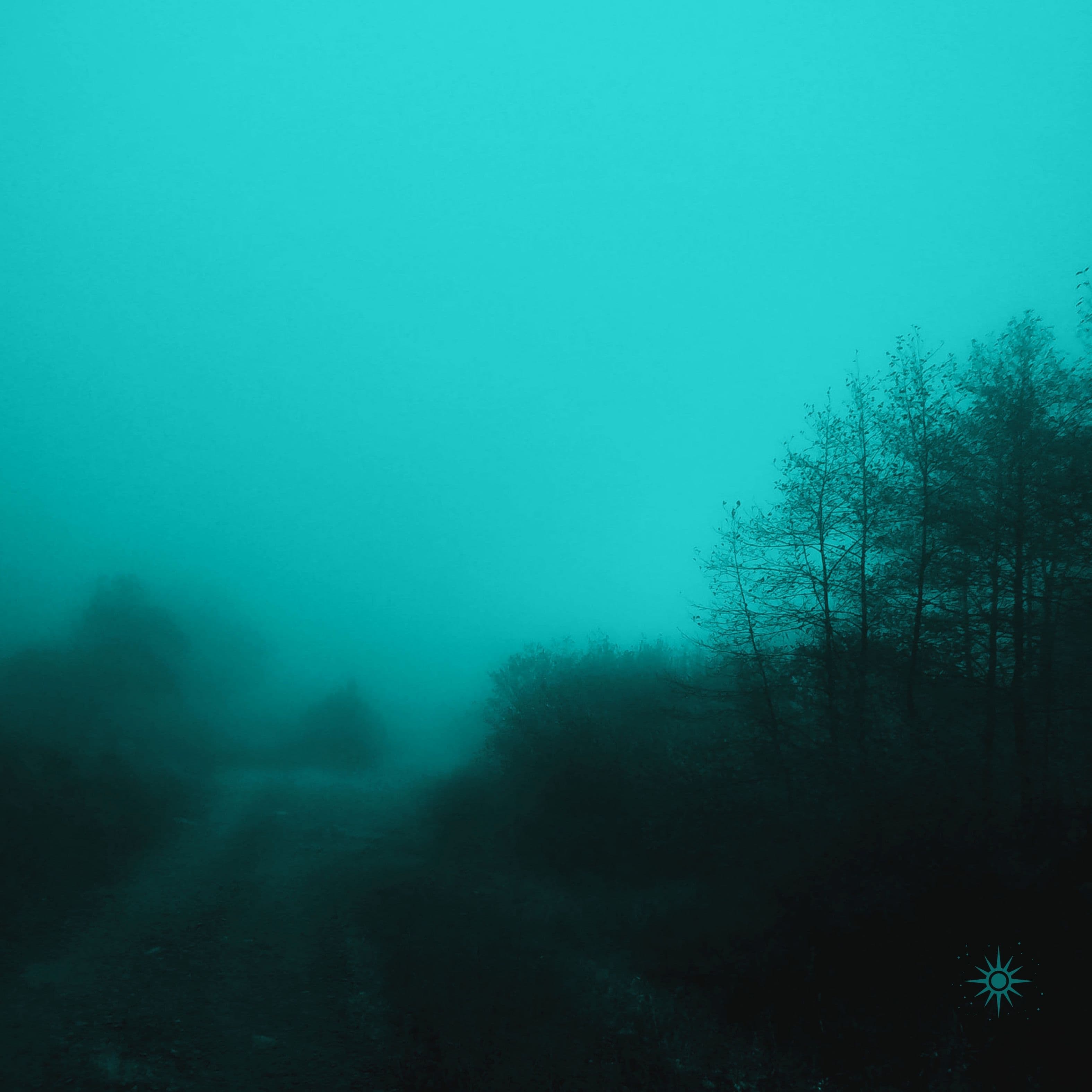 Soliloquy