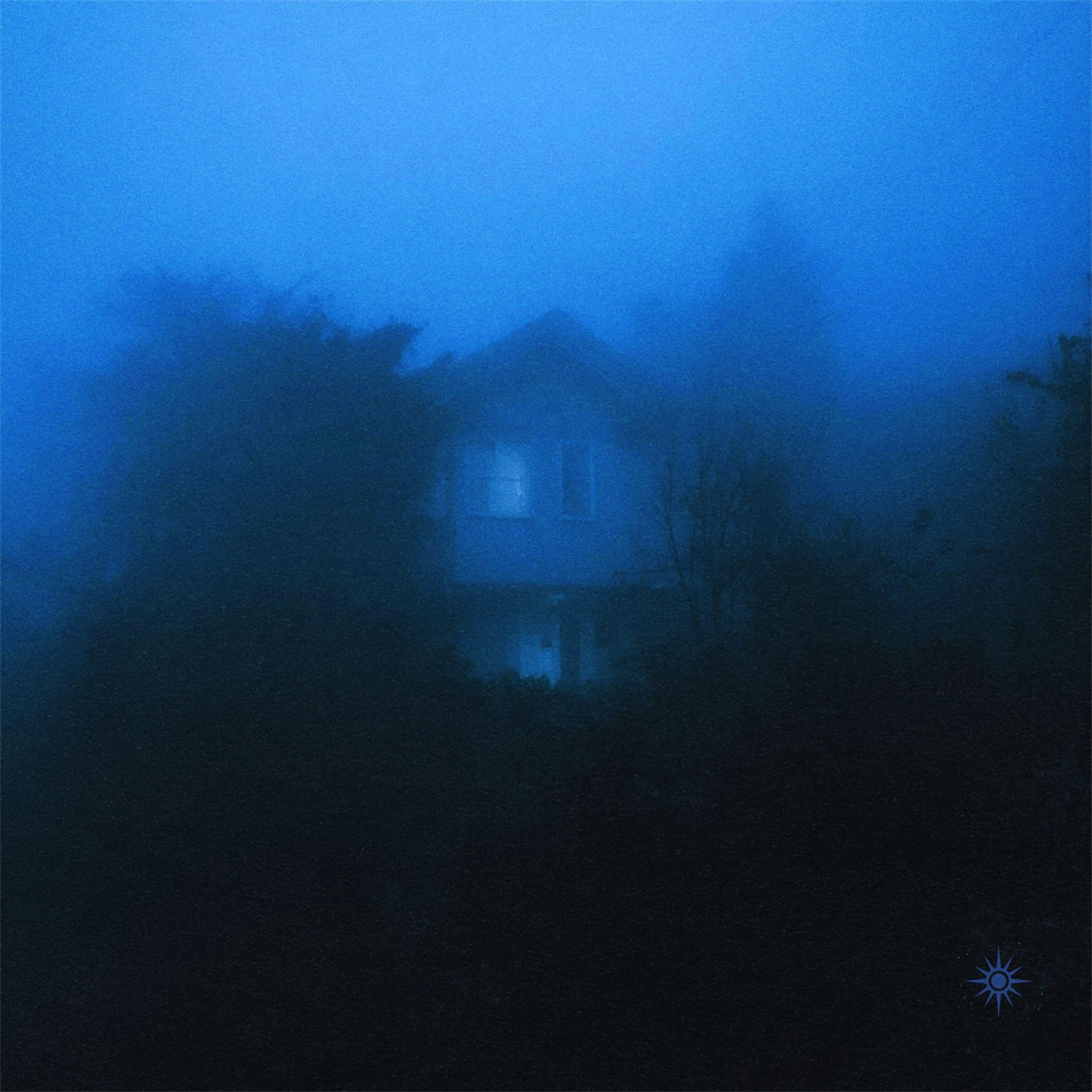 in the night