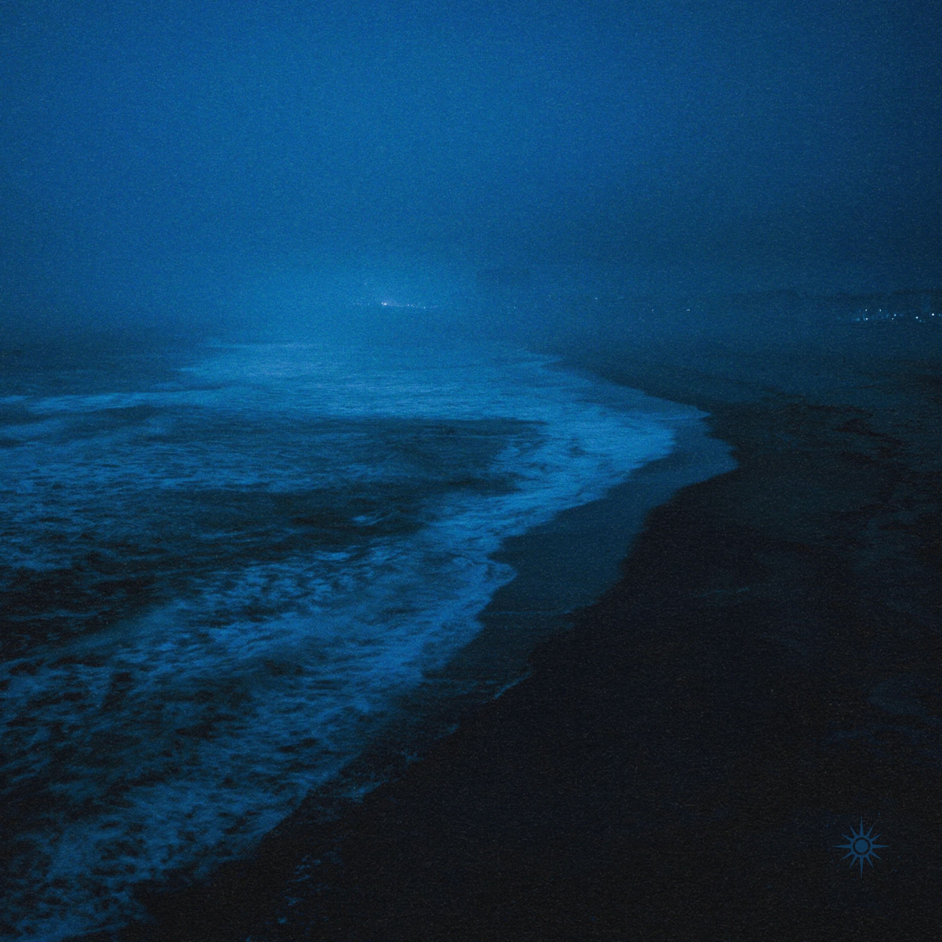 echoes from the shore