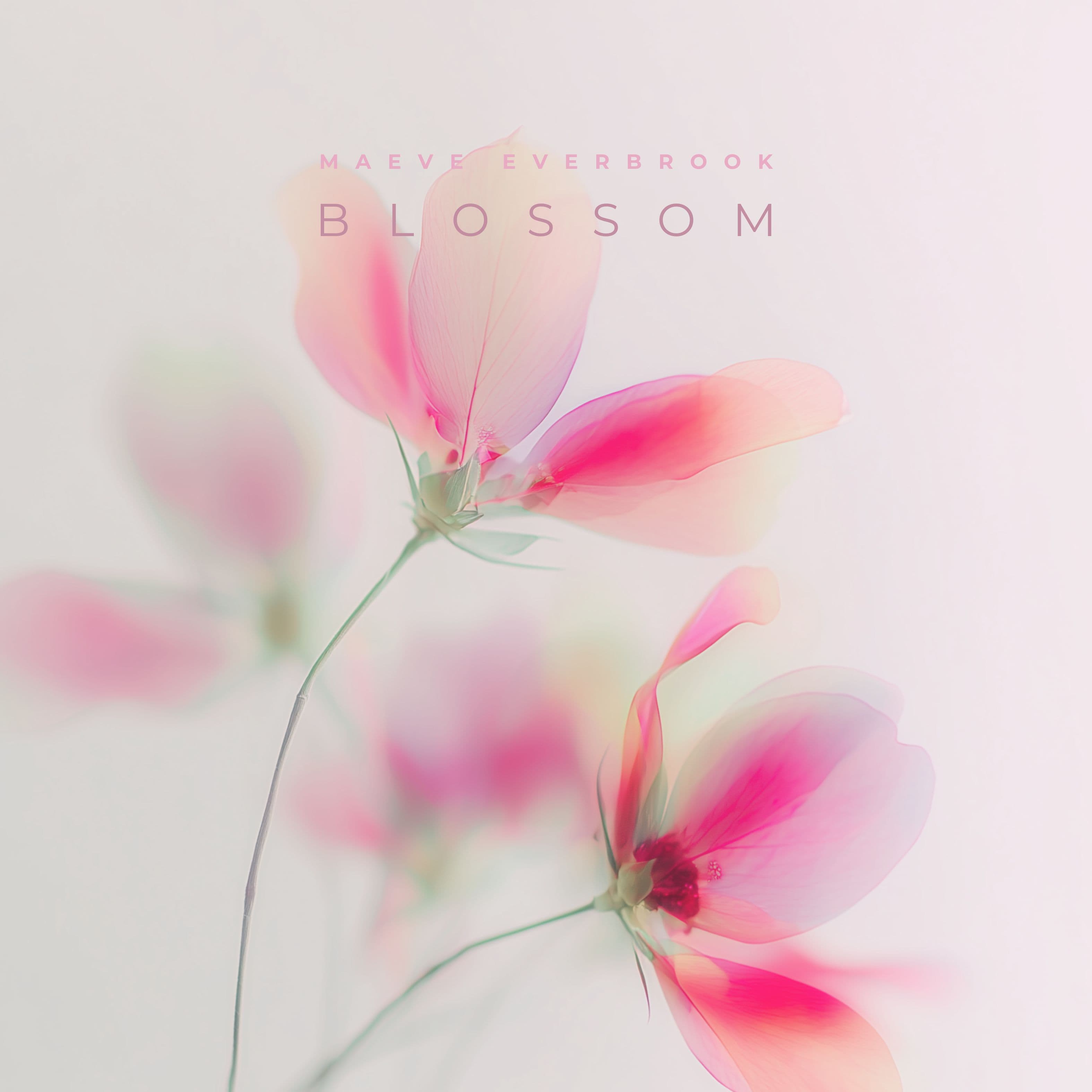 Blossom