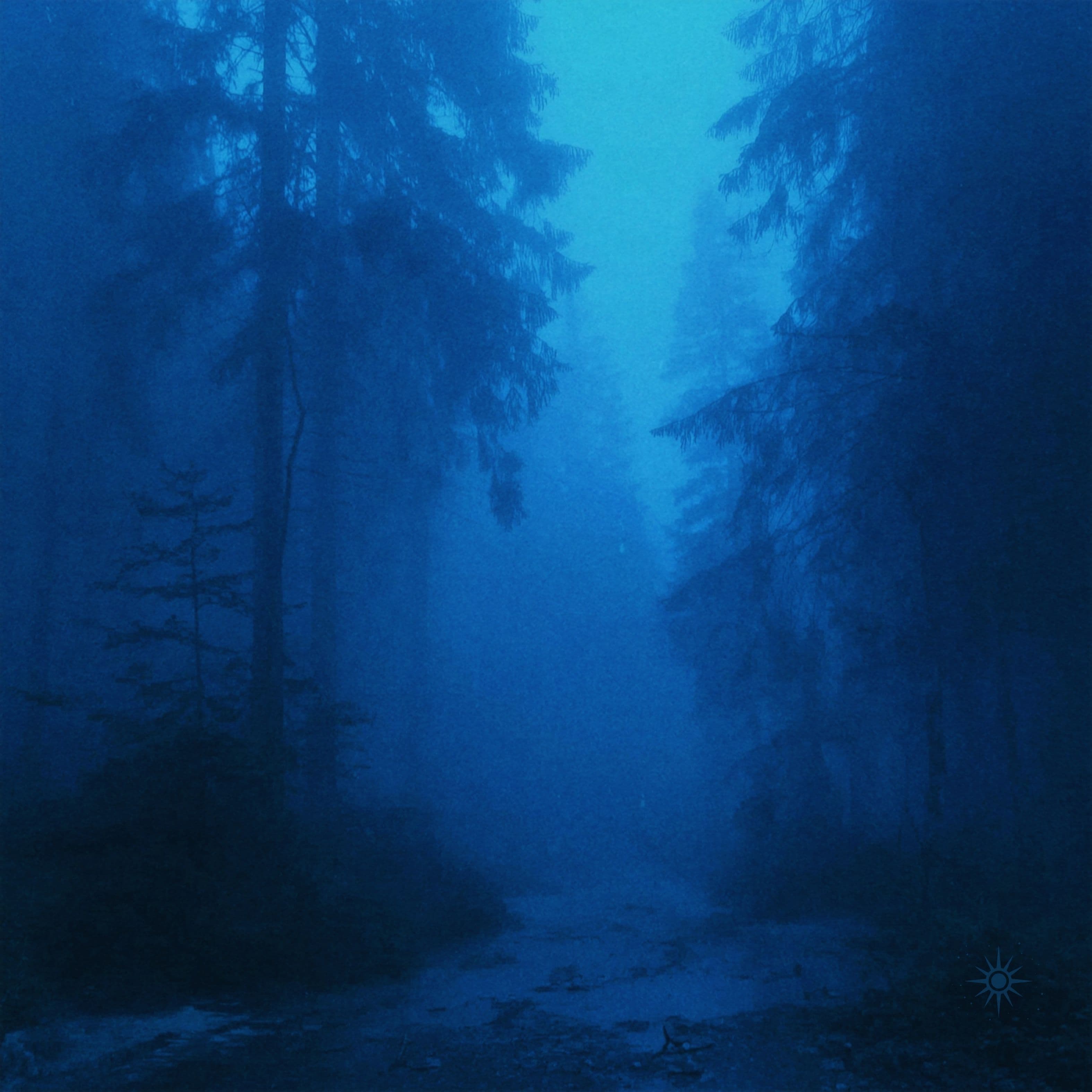 Silent Forest